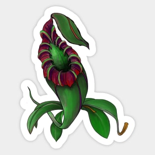 Botanical Nepenthes Pitcher Plant Carnivorous Plant Gift Idea Sticker